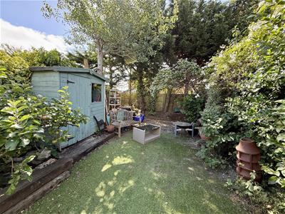 Picture 22